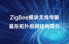 ZigBee模塊無(wú)線傳輸星形拓?fù)浣M網(wǎng)結(jié)構(gòu)簡(jiǎn)介