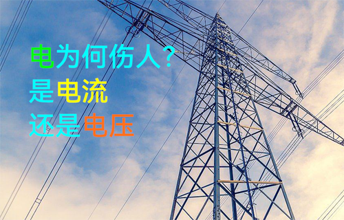 【科普視頻】觸電傷人的到底是什么？