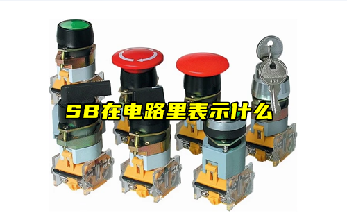 【科普視頻】SB在電路里表示什么？