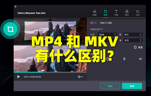 【科普視頻】MP4和MKV有什么區(qū)別？