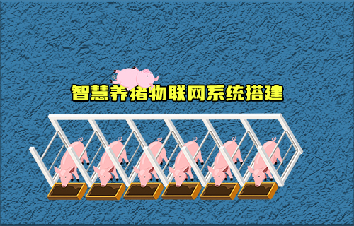 【科普視頻】智慧養(yǎng)豬物聯(lián)網(wǎng)系統(tǒng)如何搭建？有什么功能？