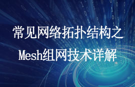 常見(jiàn)網(wǎng)絡(luò)拓?fù)浣Y(jié)構(gòu)之Mesh組網(wǎng)技術(shù)詳解