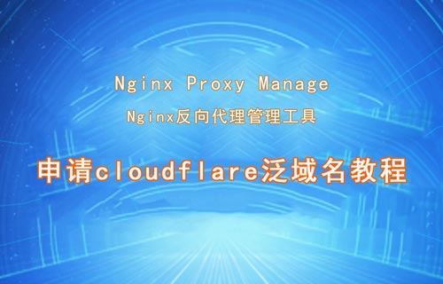 Nginx Proxy Manager申請cloudflare泛域名教程