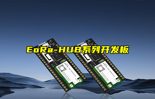 EoRa-HUB系列無線模塊開發(fā)板功能簡介