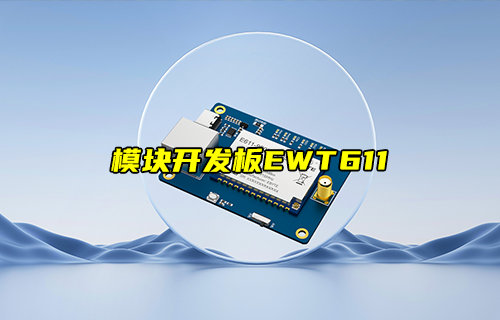 遠(yuǎn)距離圖傳數(shù)傳模塊開發(fā)板EWT611-900NW20S簡介