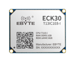 ECK30-T13IC1E8-I